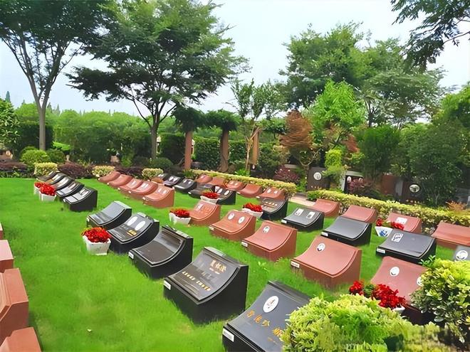 已经在国内试用很多人表示不能接受pg试玩“火葬”将被淘汰？新方式(图12)